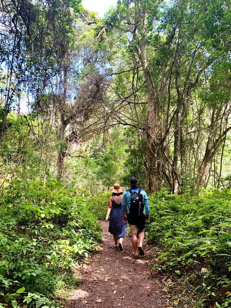 5 day Garden Route and Addo group tour
