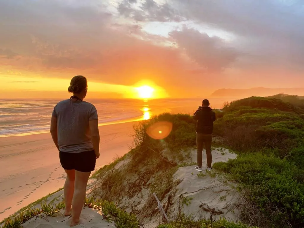 5 day Garden Route and Addo group tour