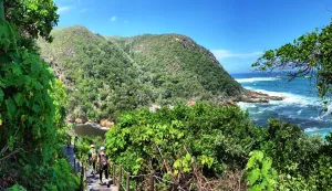 5 day Garden Route and Addo group tour