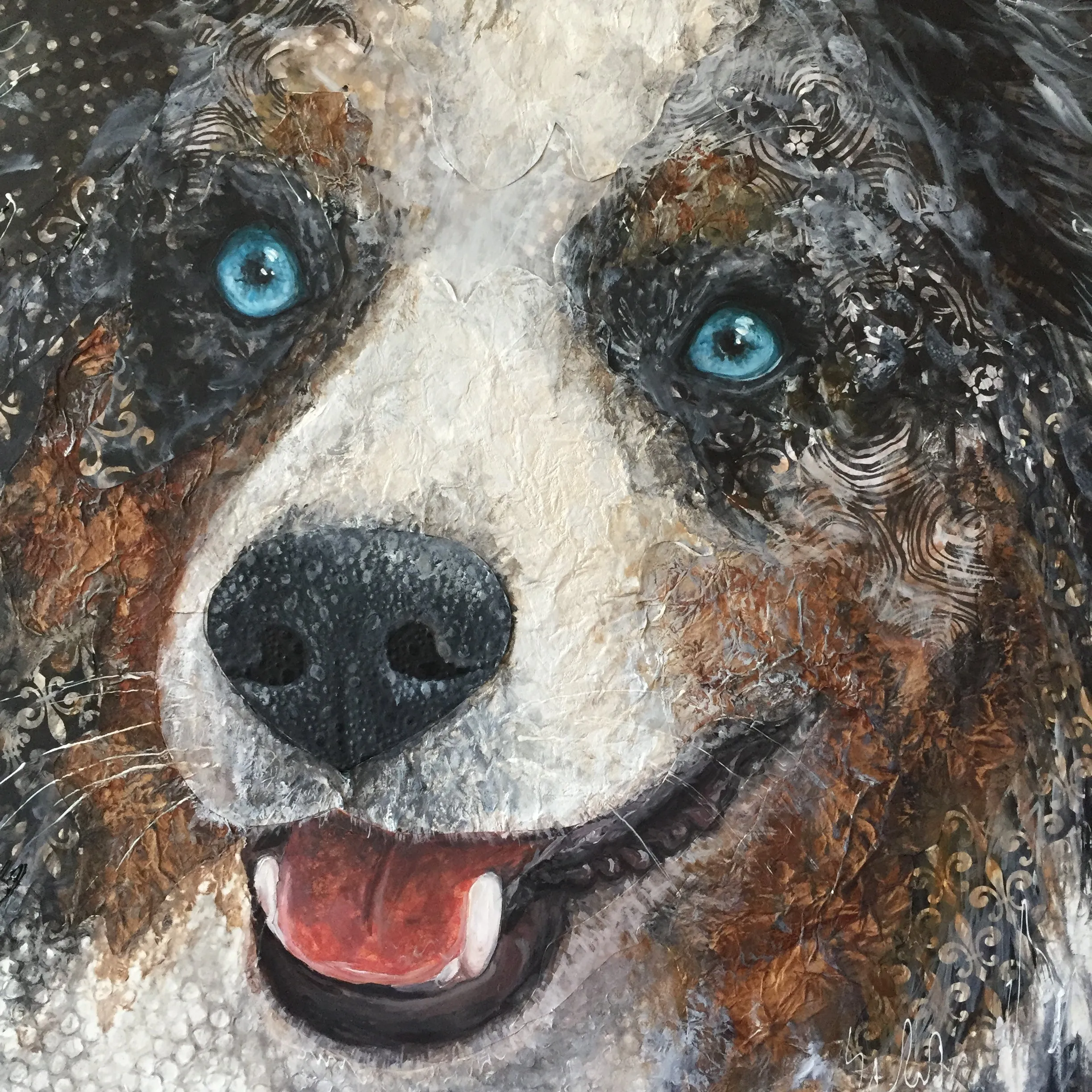 Australian Shepard