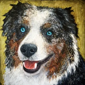 Australian Shepard