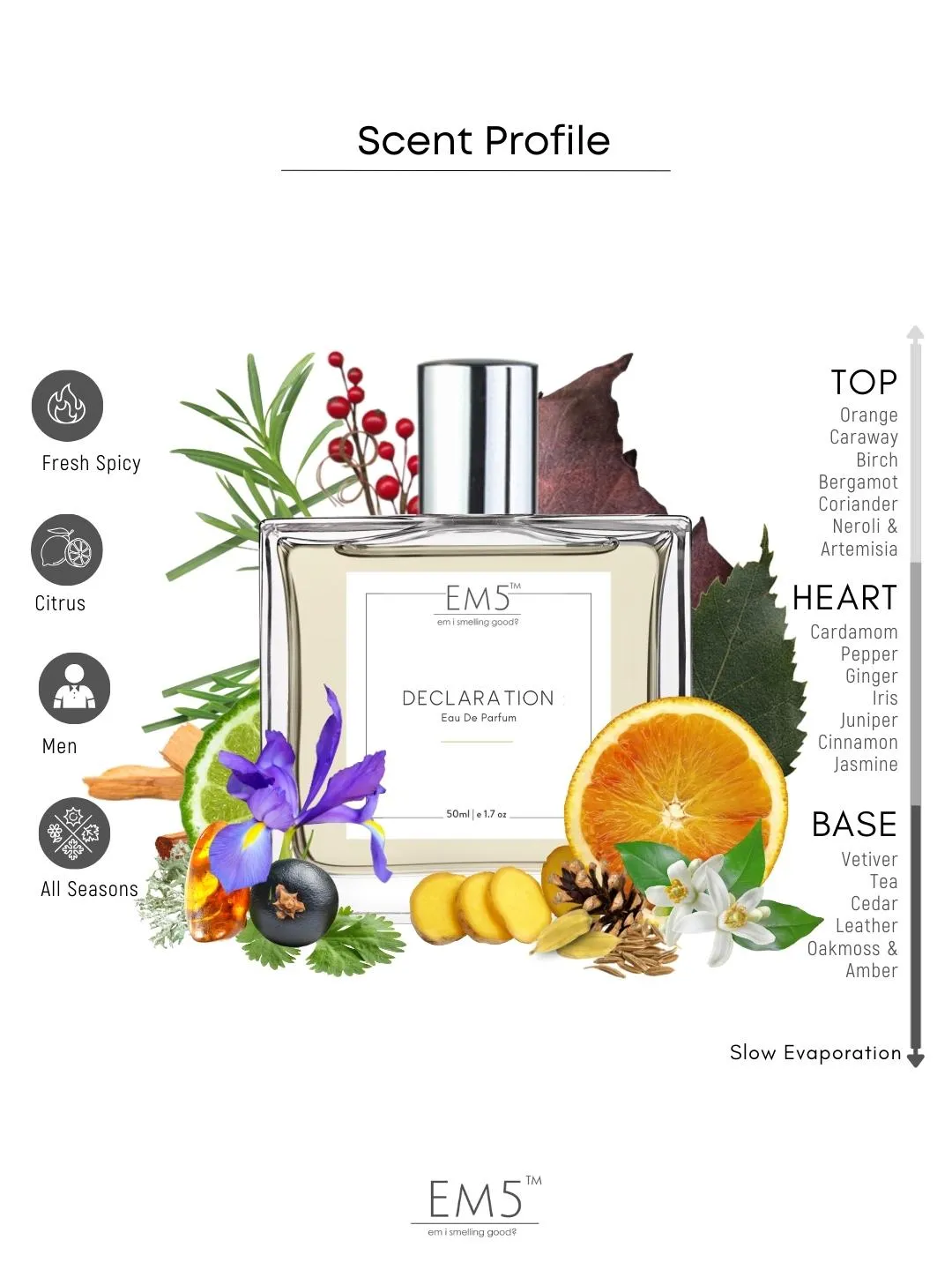 EM5™ Declaration Perfume for Men | Eau De Parfum Spray | Fresh Spicy Citrus Fragrance Accords | Luxury Gift for Him | 50 ml