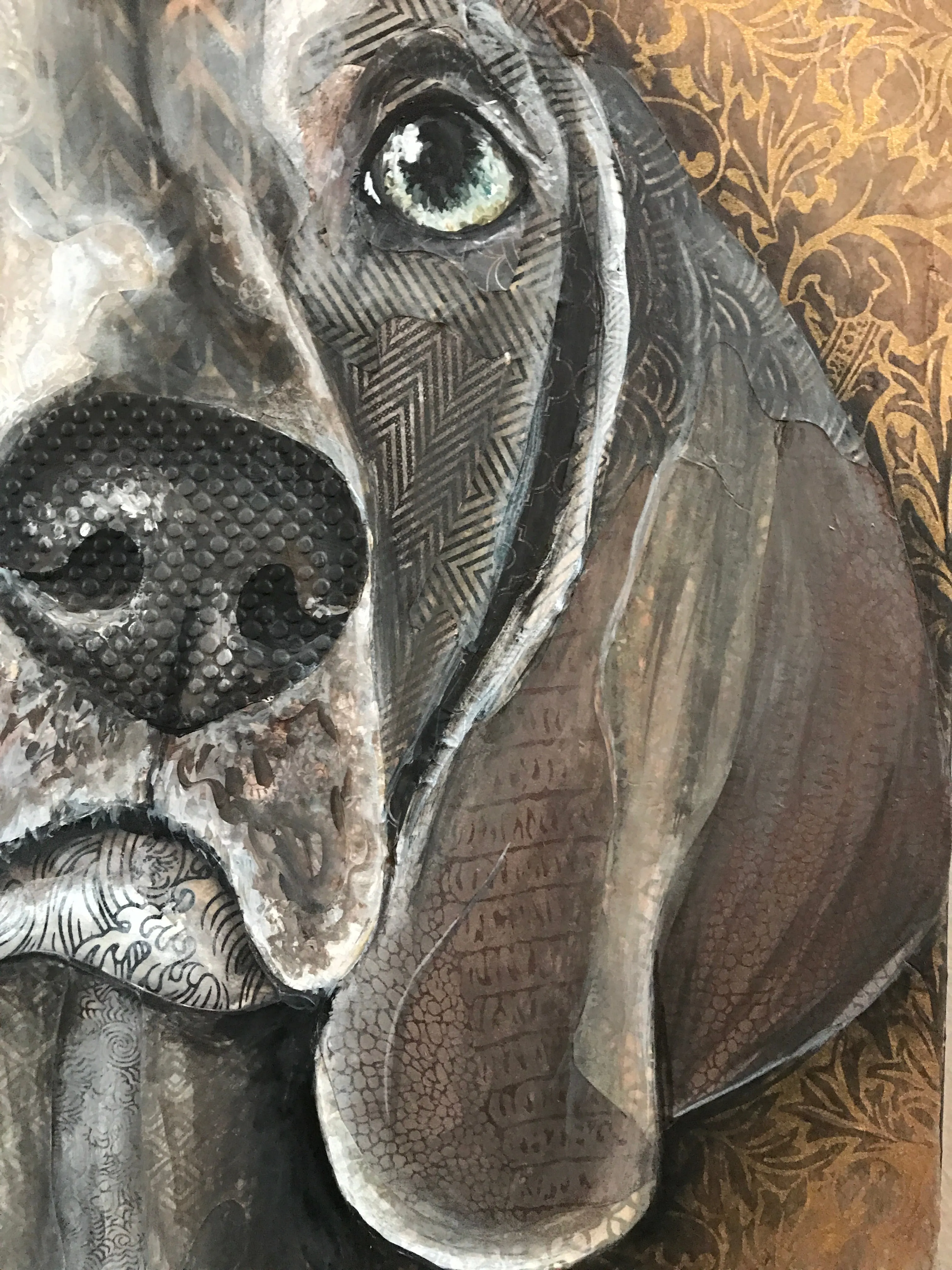 Gibson - Weimaraner