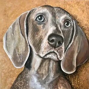 Gibson - Weimaraner