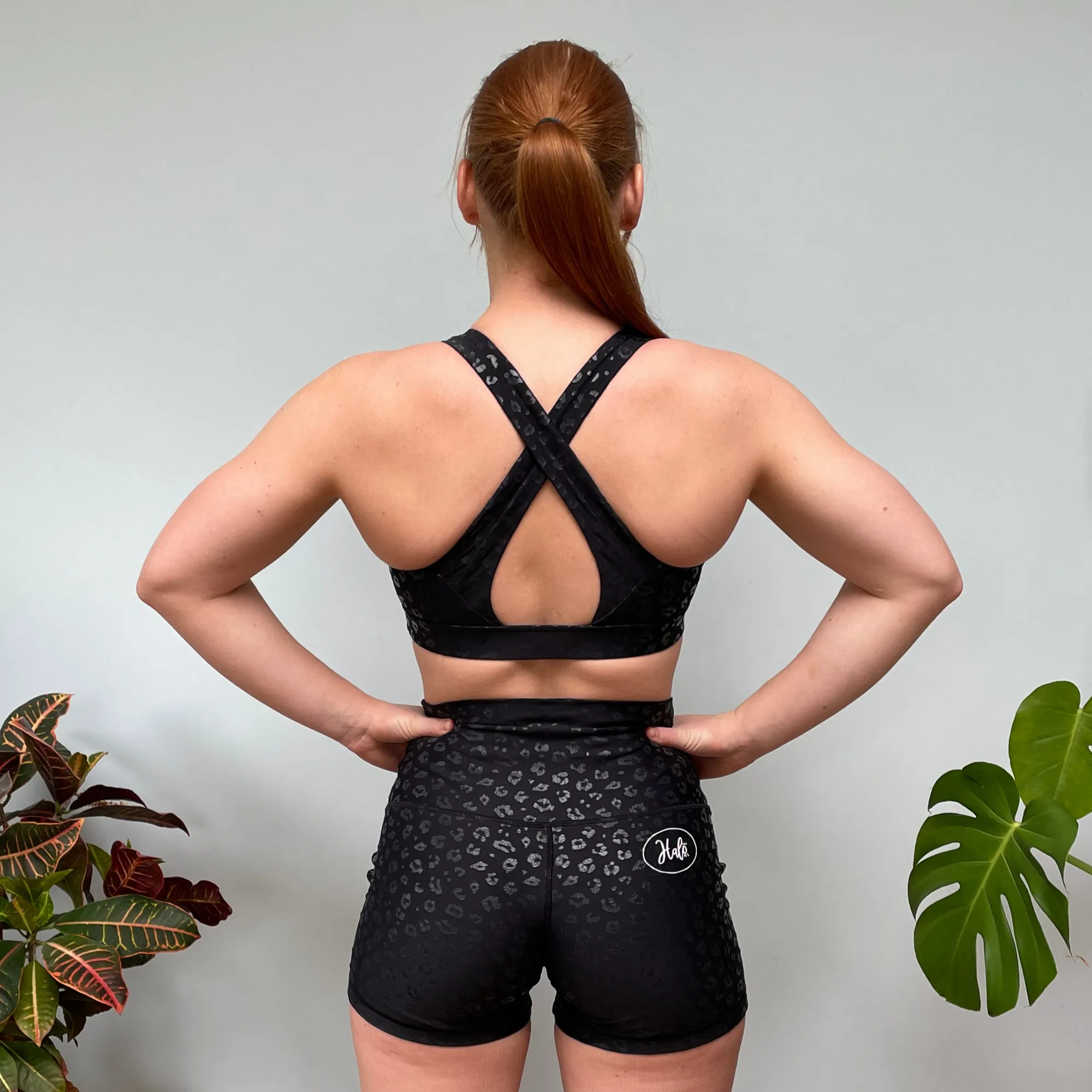 Halo Black Sparkly Leopard 4 Inch Shorts
