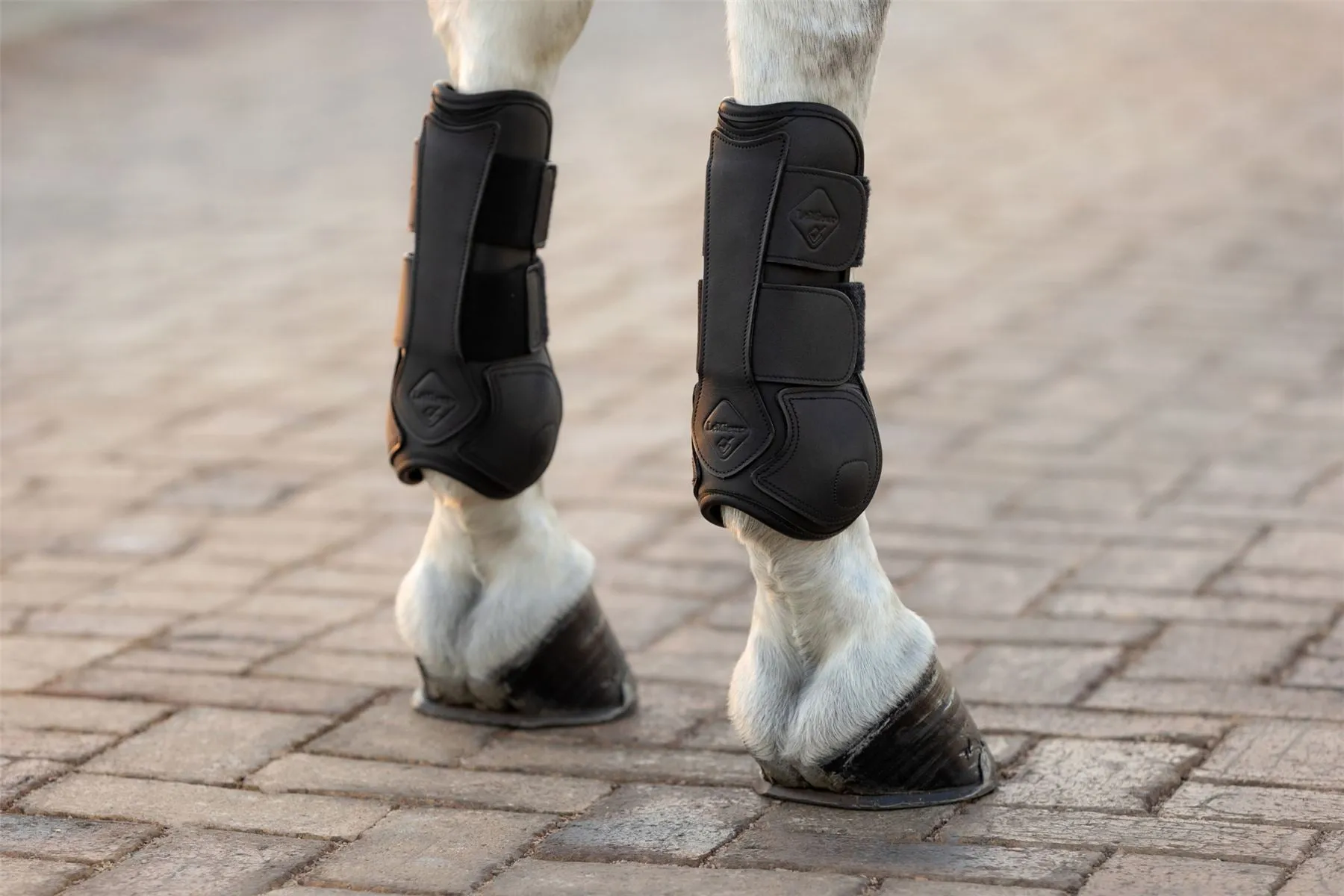 LeMieux Capella Tendon Boots