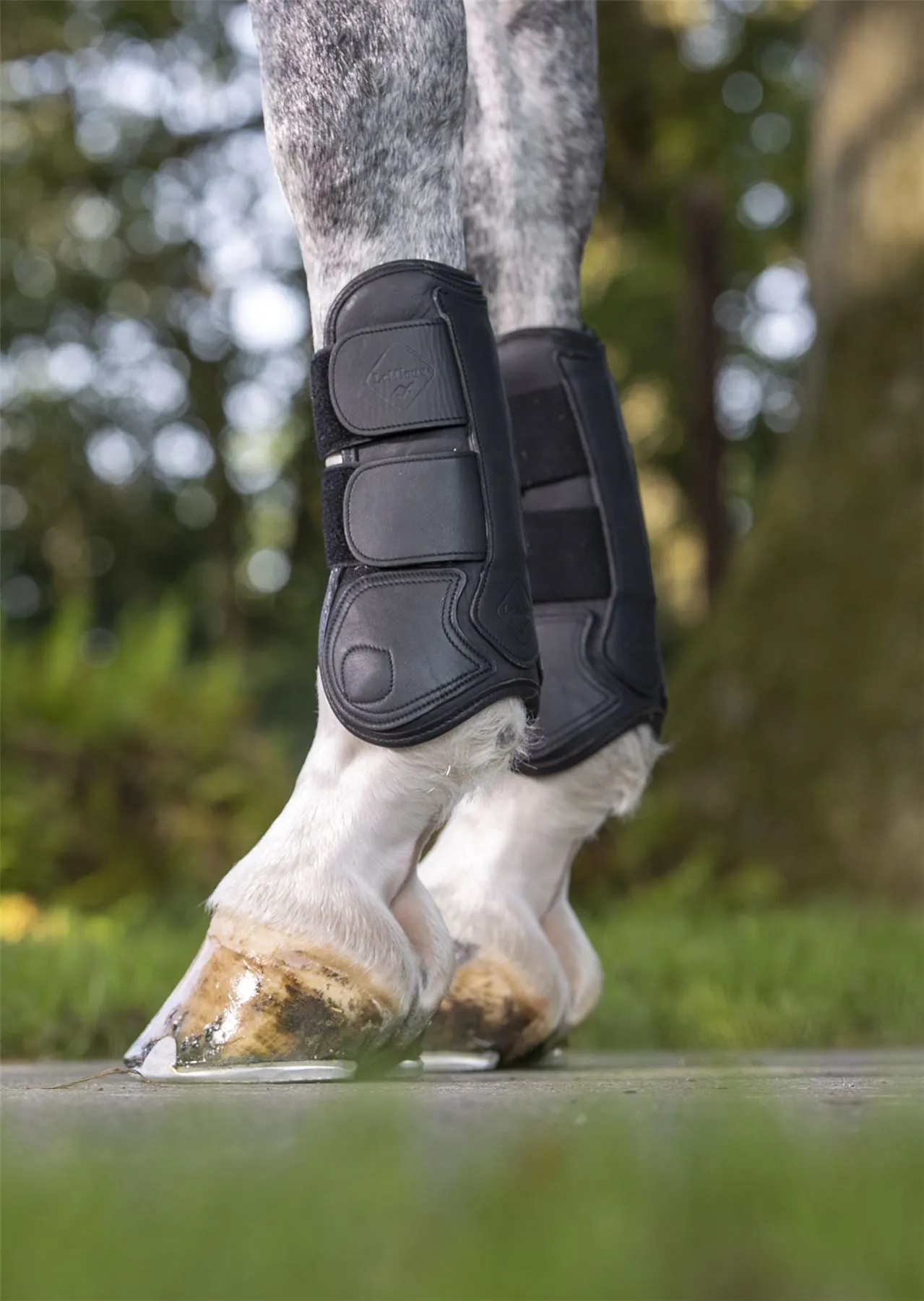 LeMieux Capella Tendon Boots