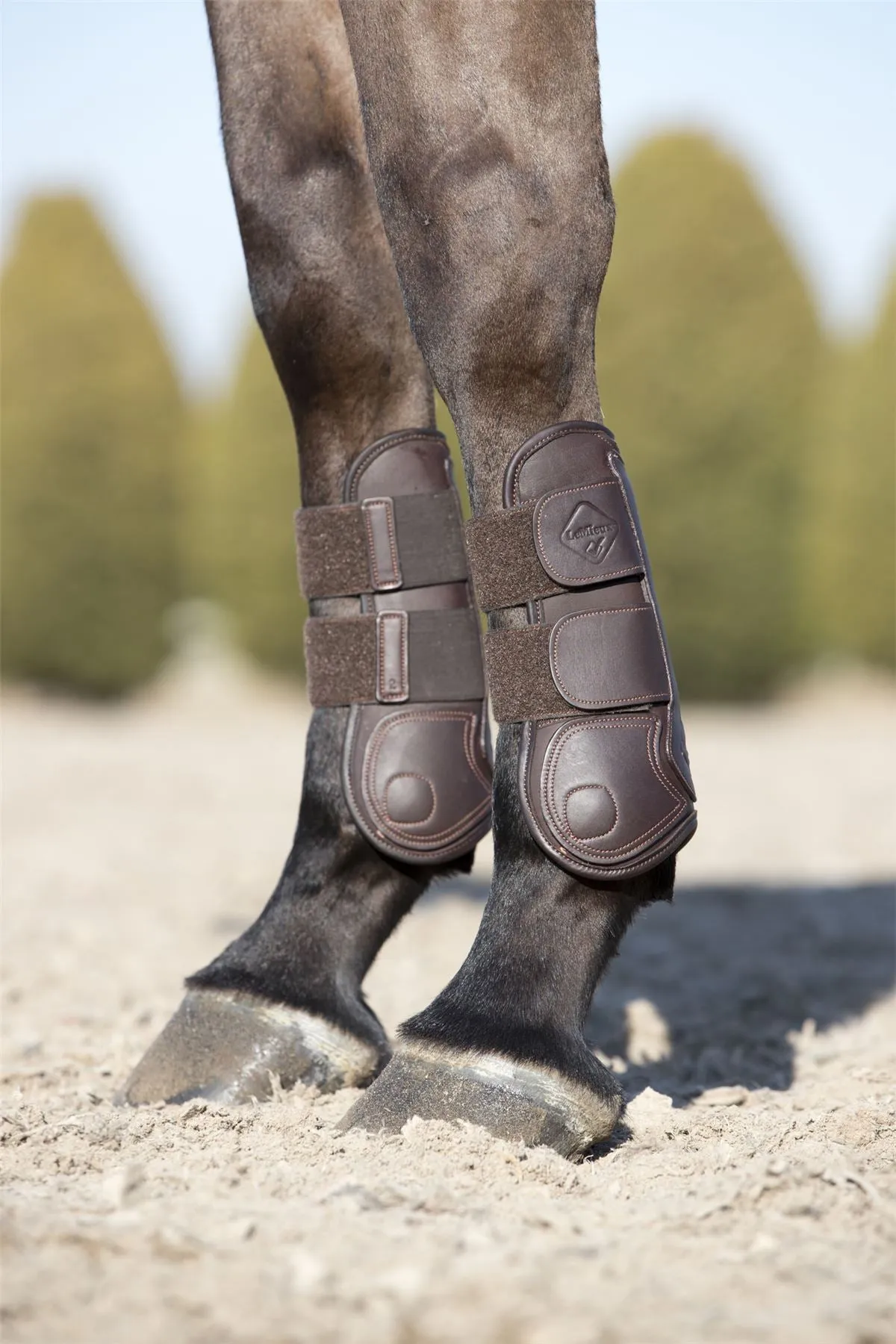 LeMieux Capella Tendon Boots