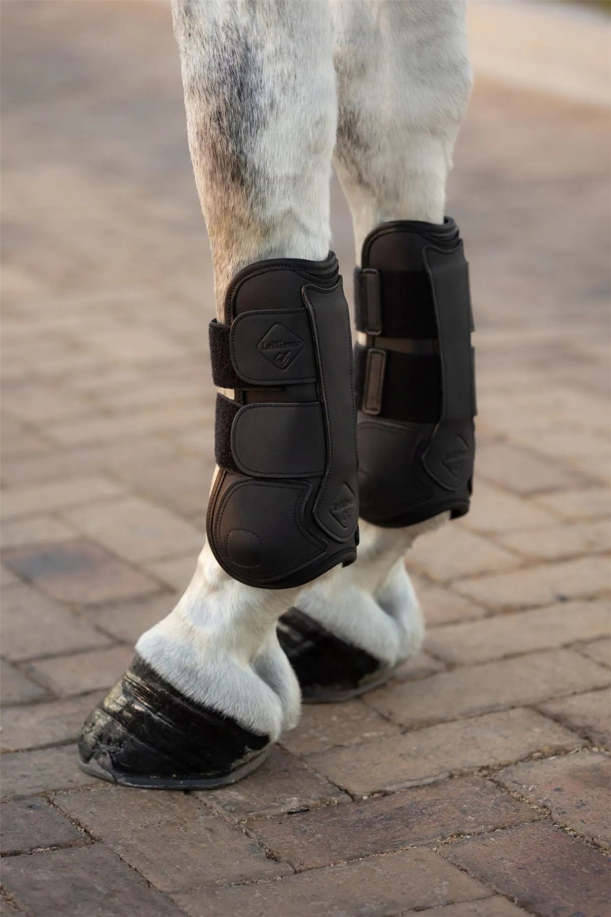 LeMieux Capella Tendon Boots