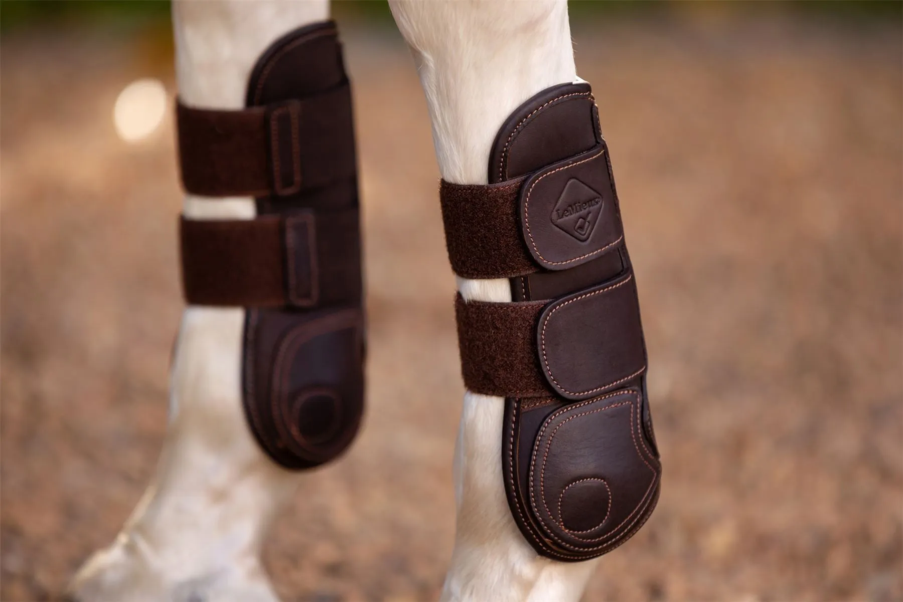 LeMieux Capella Tendon Boots