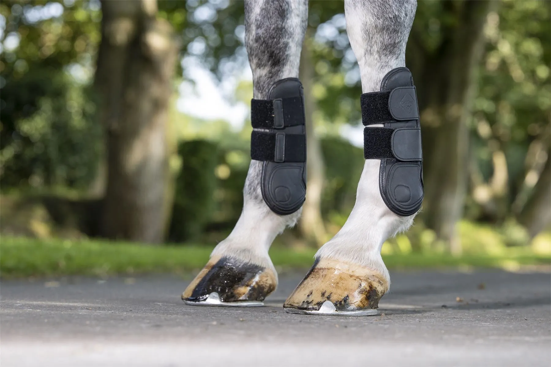 LeMieux Capella Tendon Boots