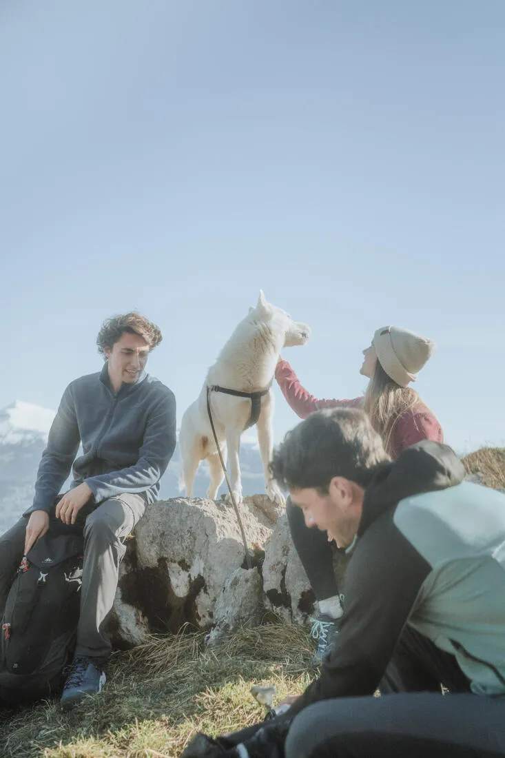 Men’s Hiking Fleece - MH100