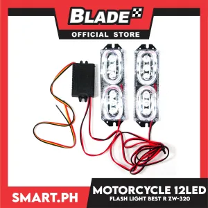 Motorcycle 12Led Opposite Flash Light ZW-320 (White)