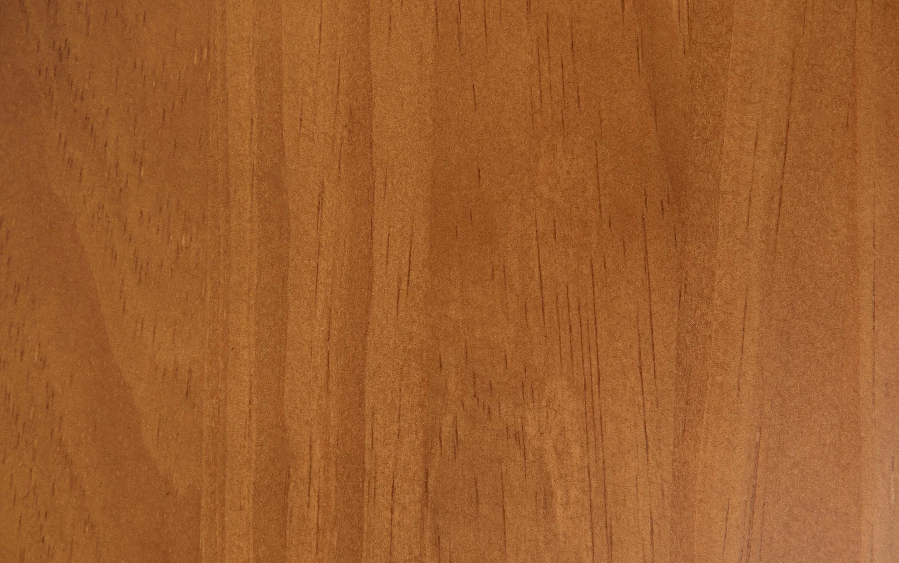 Warm Shaker Low Storage Cabinet