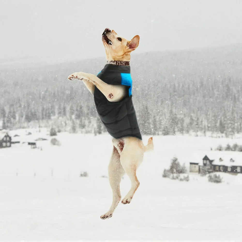 Warm Waterproof Dog Vest