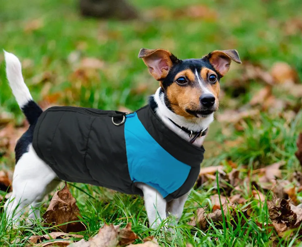 Warm Waterproof Dog Vest