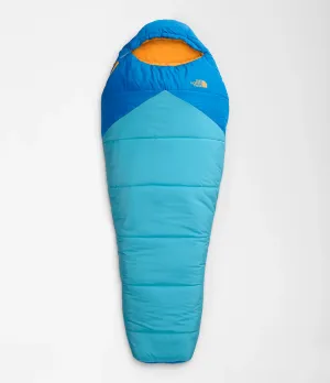 Wasatch Pro Sleeping Bag (20°F / -7°C) (Youth) - NF0A52ER - Past Season